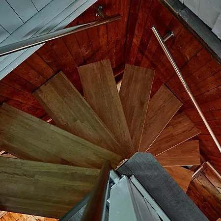 Olive Tree Forest Original * Verőcemaros