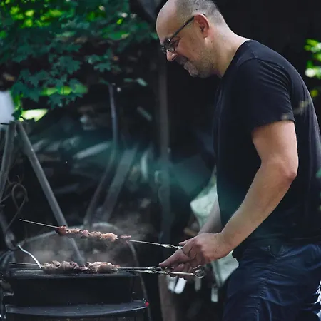 Olive Tree Forest Original Verőcemaros