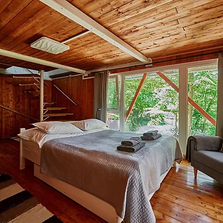 Olive Tree Forest Original *