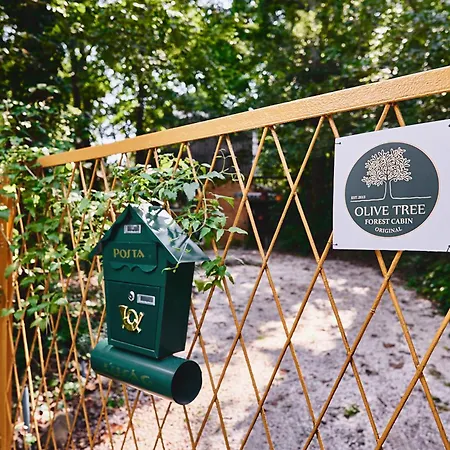 펜션 Olive Tree Forest Original Verőcemaros