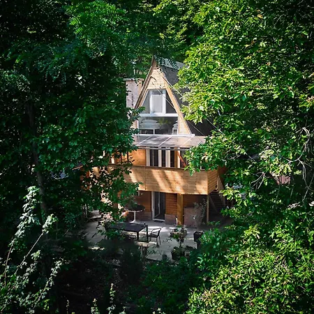 Olive Tree Forest Original *