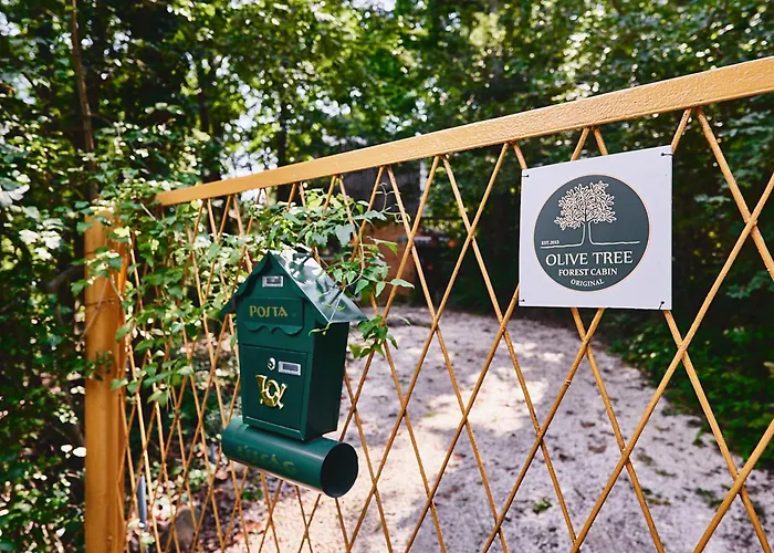 別荘 Olive Tree Forest Original Verőcemaros